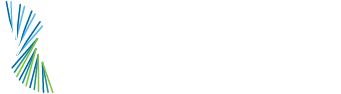 MTA Fiber Holdings